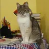 Отзыв от Инга Максимова